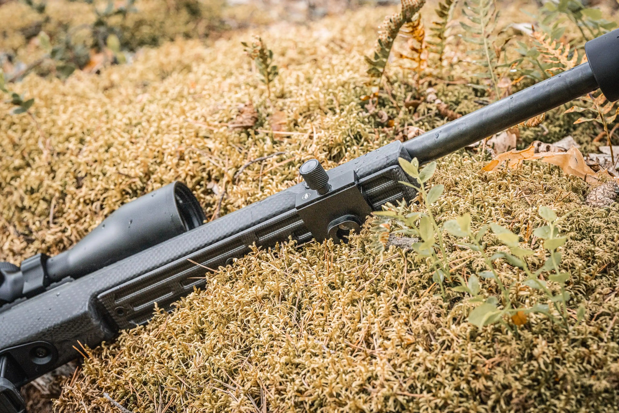 OAC TAC Carbon ARCA Rail